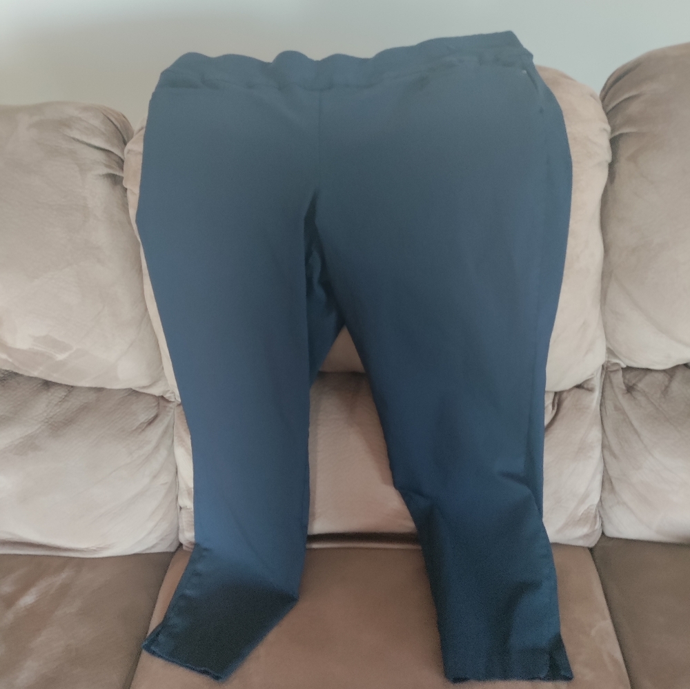 Christopher and Banks Navy Blue Dress pants